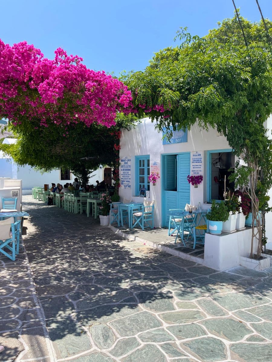 A charming café in Folegandros, Greece, with white-washed walls, turquoise doors and chairs, and vibrant pink bougainvillea providing shade over an outdoor seating area on a stone-paved alley.