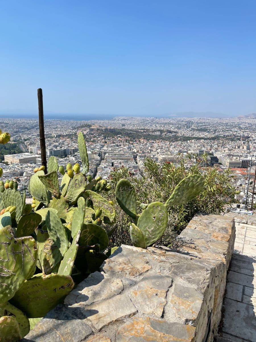 A scenic view of Athens, Greece, from a hilltop, featuring cactus plants in the foreground, a stone wall, and the sprawling cityscape with the sea on the horizon under a clear blue sky.