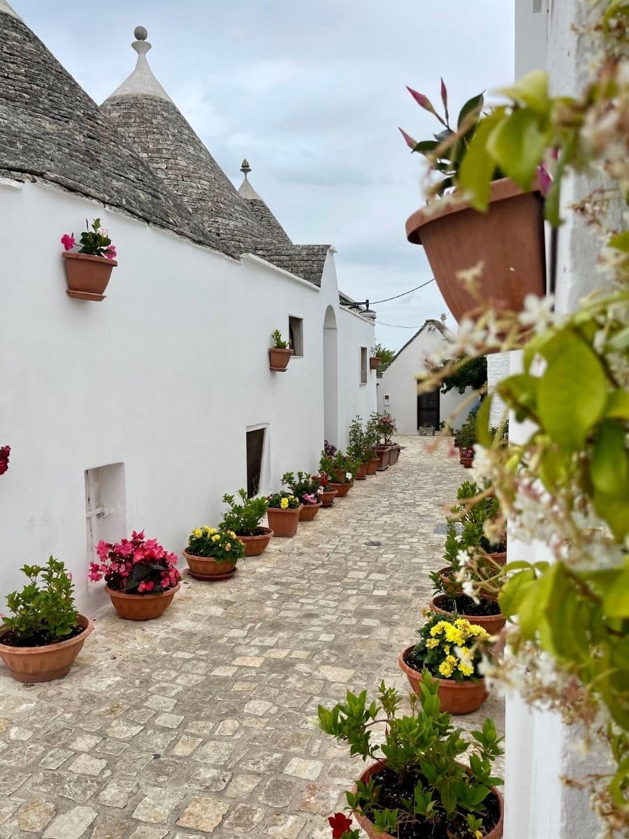 A charming stone building with conical rooftops, characteristic of the trulli architecture, is nestled among lush green trees in Alberobello, Italy. A pedestrian crosswalk leads up to the gated entrance, while the stone facade and arched doorways add to the historic and picturesque setting.