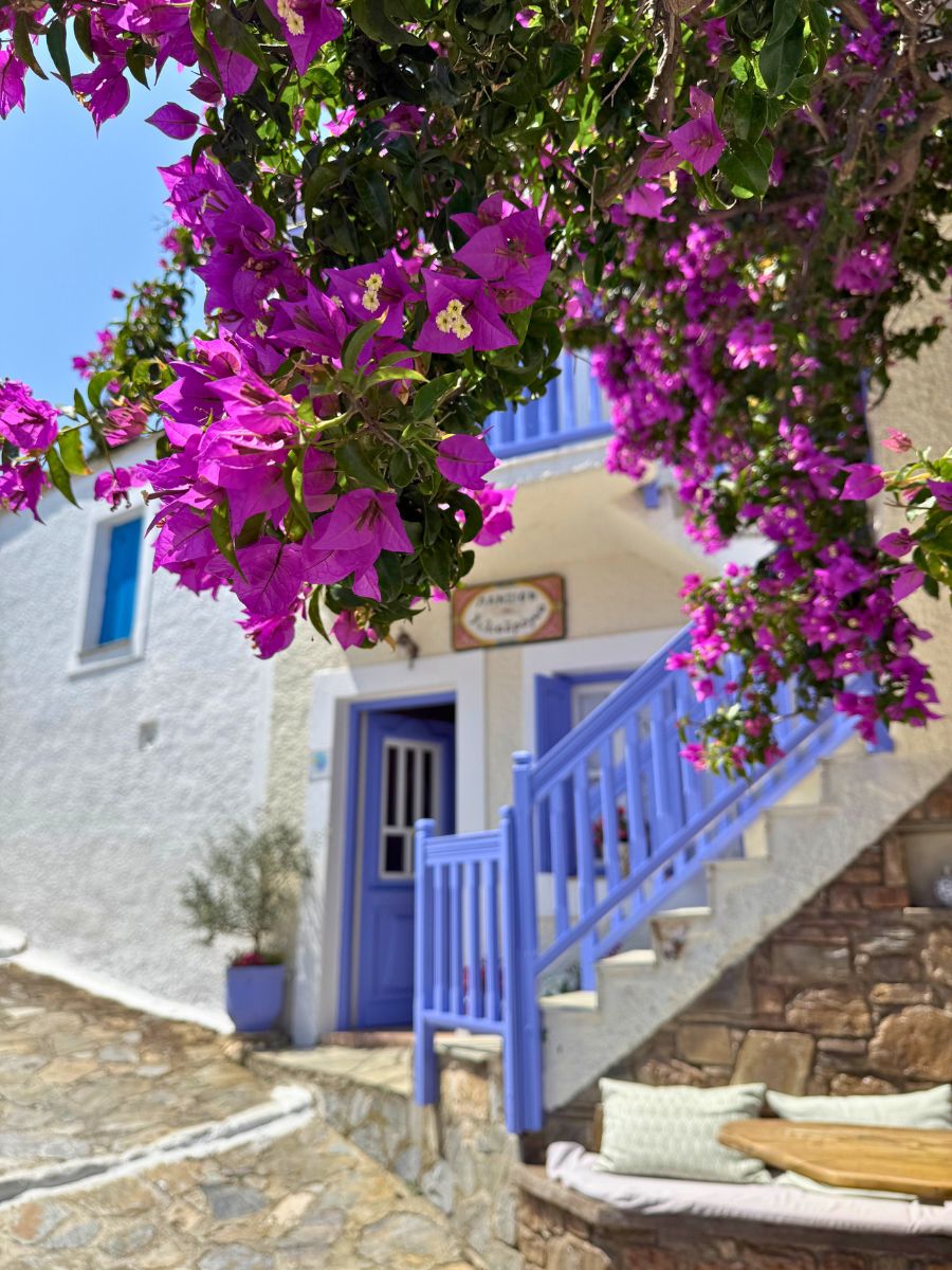 Close-up of vibrant bougainvillea flowers framing a charming white-washed building with lavender blue doors and railings in Alonissos, Greece.
