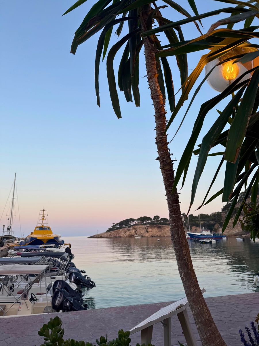 Palm tree framing a peaceful Alonissos harbor at sunset, with docked boats, a yellow ferry, and a rocky outcrop in the distance under a pastel-colored sky.