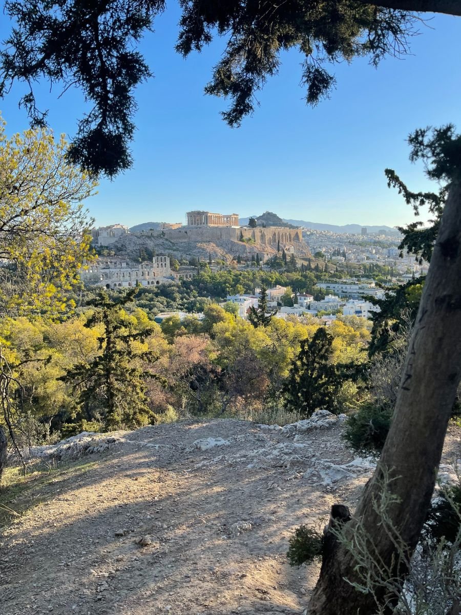 Panoramic view of the Acropolis and Parthenon in Athens from a wooded hillside vantage point, framed by pine trees.