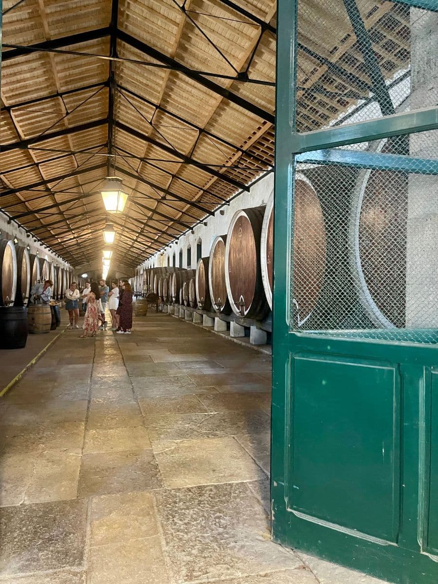 Historic wine cellar lined with large wooden barrels and warmly lit by hanging lanterns, welcoming visitors for a tour.