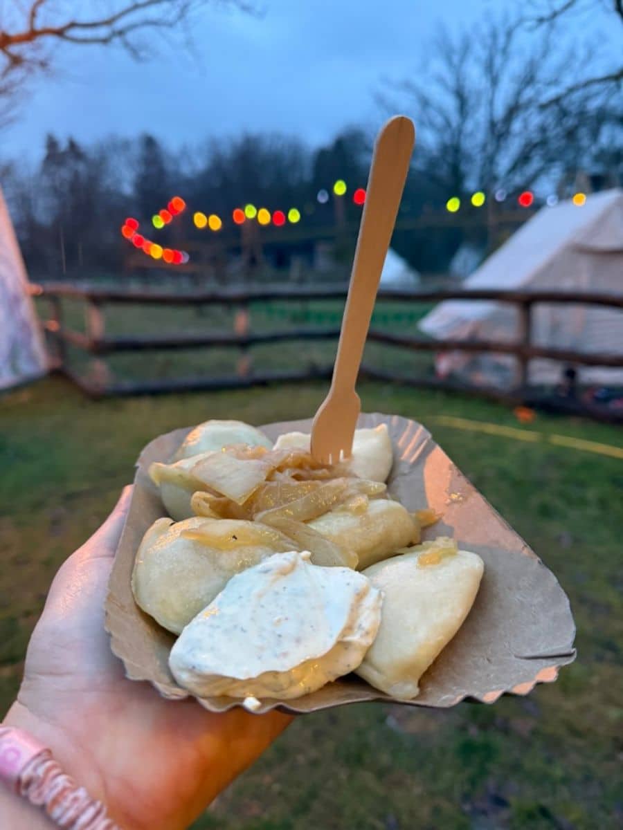 A tray of delicious pierogi topped with caramelized onions and sour cream, held against the backdrop of twinkling string lights and grassy grounds at the market.