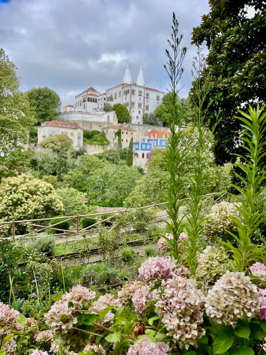 A view of the National Palace of Sintra, Portugal, with its iconic twin chimneys, surrounded by lush green gardens and blooming pink hydrangeas in the foreground. The palace sits atop a hill under a cloudy sky, creating a picturesque scene.