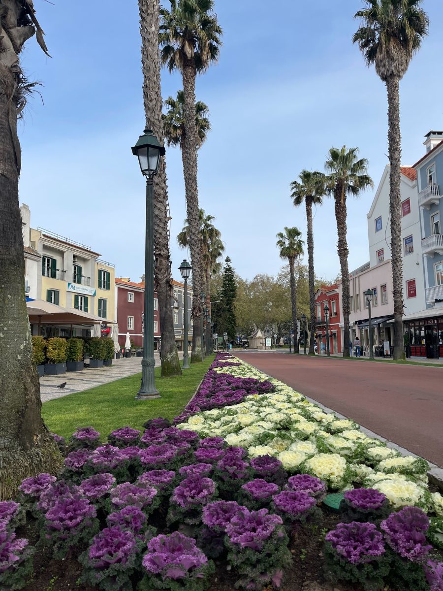 A beautiful tree-lined boulevard with tall palm trees and vibrant flower beds featuring purple and white blooms in Cascais, Portugal. Colorful buildings and a clear sky complete the serene scene.