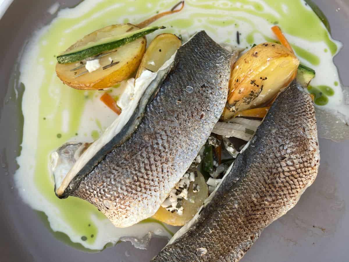 Close up of tomato fritters 