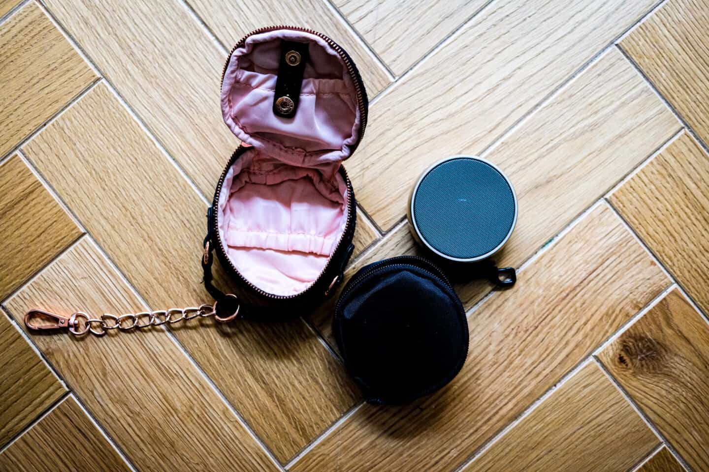 Smart Birdy Speaker and carrying case