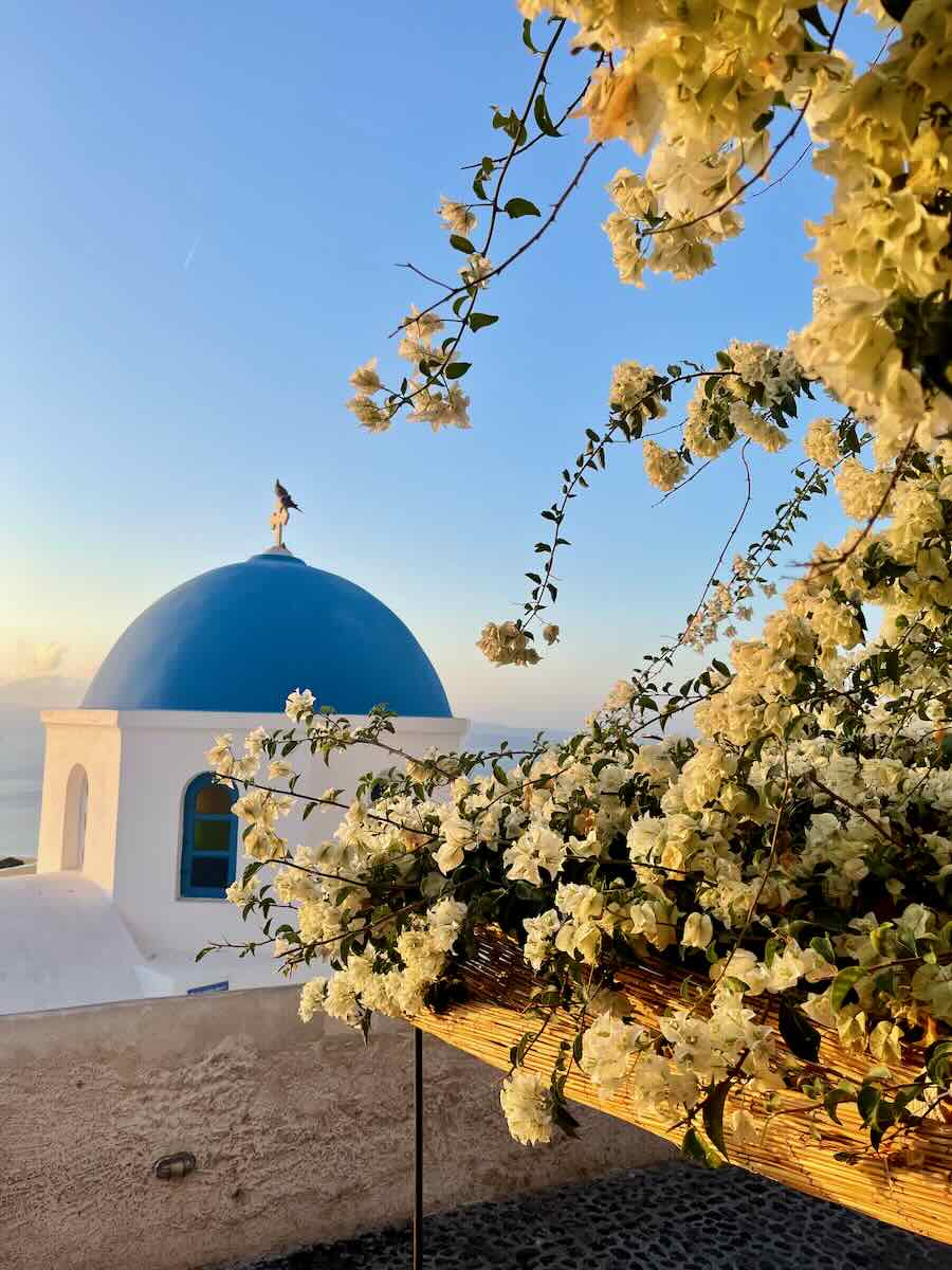 Close-up of a blue-domed church in Santorini, framed by white bougainvillea flowers, with the sun setting over the Aegean Sea.