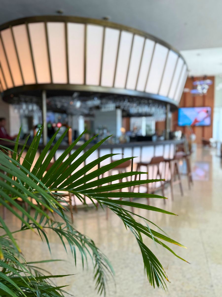 Modern bar area with a glowing circular bar counter, stools, and palm leaves in the foreground.