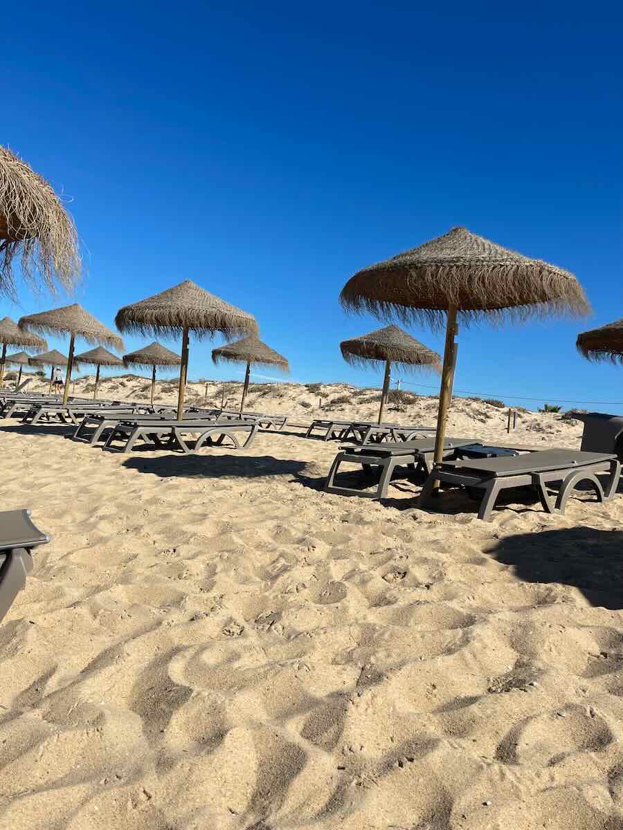 Beach view in Faro with straw parasols and empty lounge chairs on golden sand under a clear blue sky.