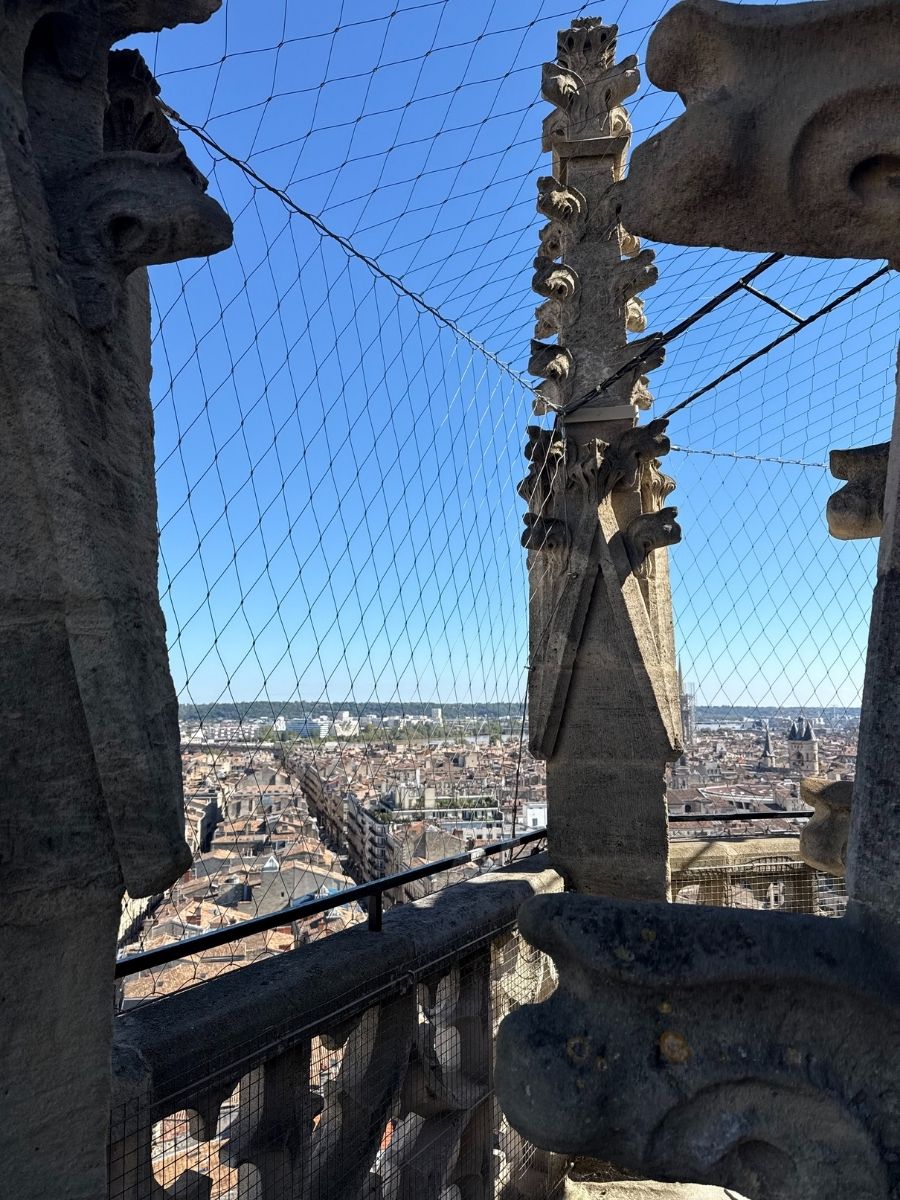 Ornate stone gargoyles and Gothic spires of Tour Pey-Berland in Bordeaux, framed by protective netting with the city skyline in the background.