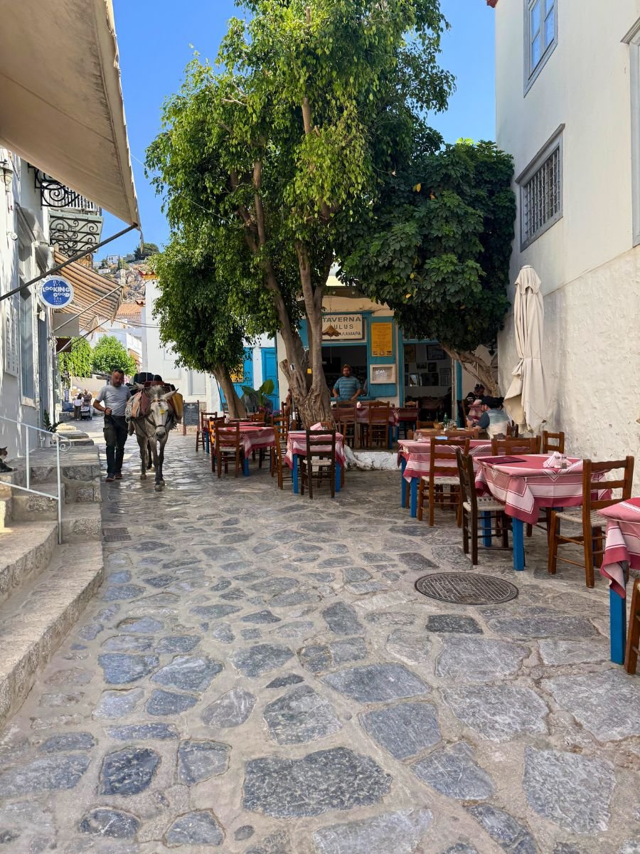 A charming stone-paved alley in Hydra, Greece, with outdoor seating from a traditional taverna covered in red and white checkered tablecloths. A man leads a mule down the alley, showcasing Hydra’s car-free lifestyle. The scene is shaded by lush green trees and surrounded by whitewashed buildings.