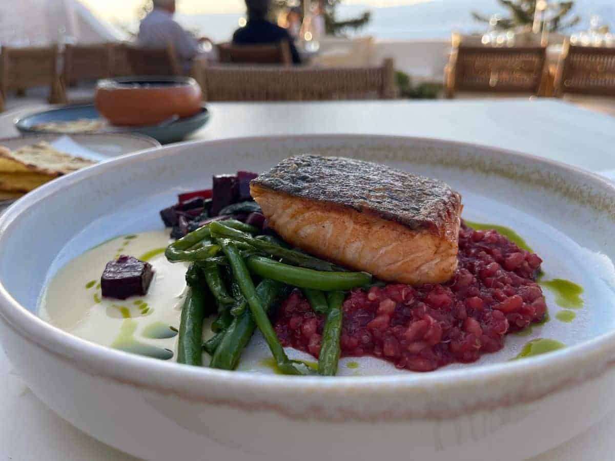 Close up of plated salmon with veggies. 