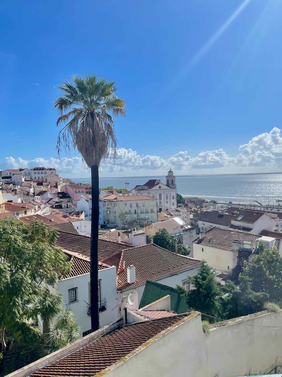 Bright and clear view over Lisbon's rooftops with a palm tree in the foreground and the sea in the distance under a sunny blue sky, emphasizing the city's charming landscape.