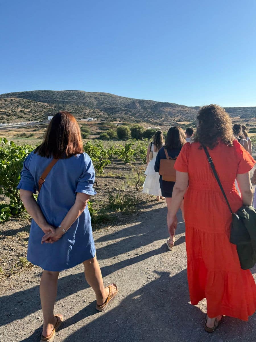 Women walking through vineyards in Greece during a cultural women-only island tour