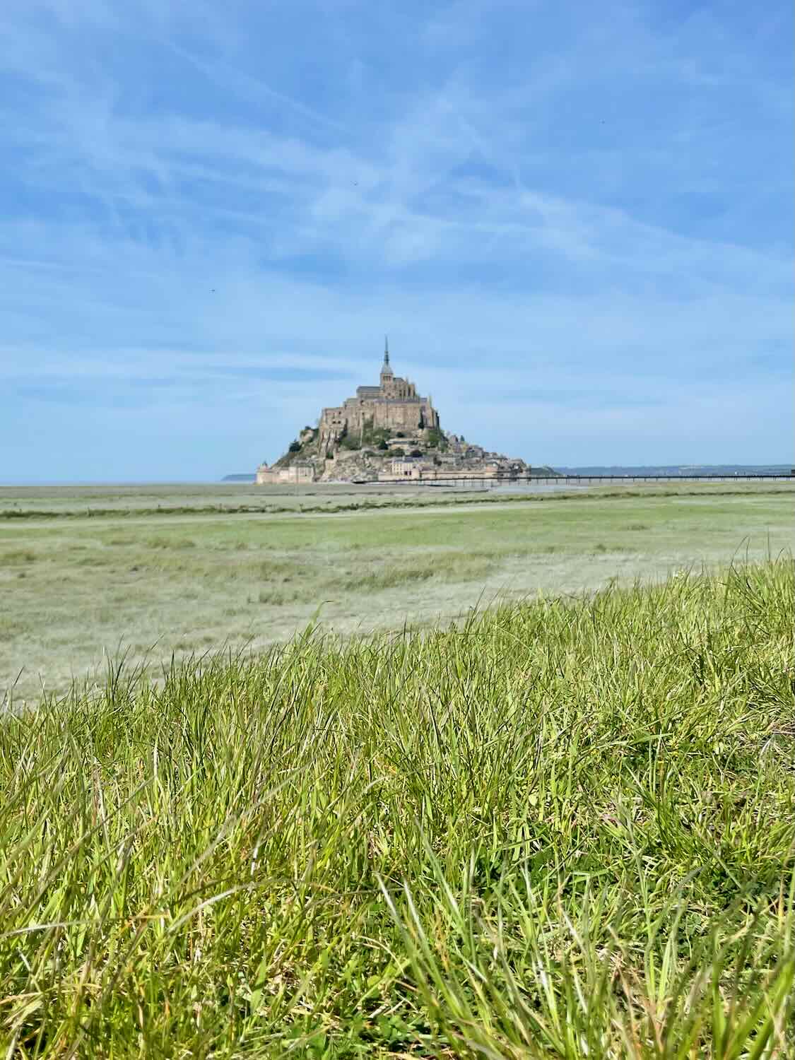 Grass field with Mont Saint Michel in the Background