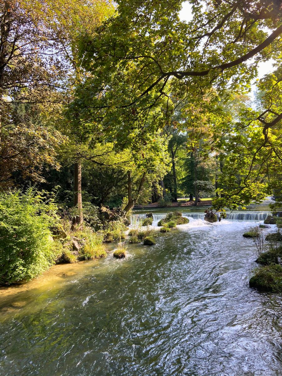 A peaceful river flowing through the English Garden in Munich, surrounded by lush green trees and sunlight filtering through the leaves.