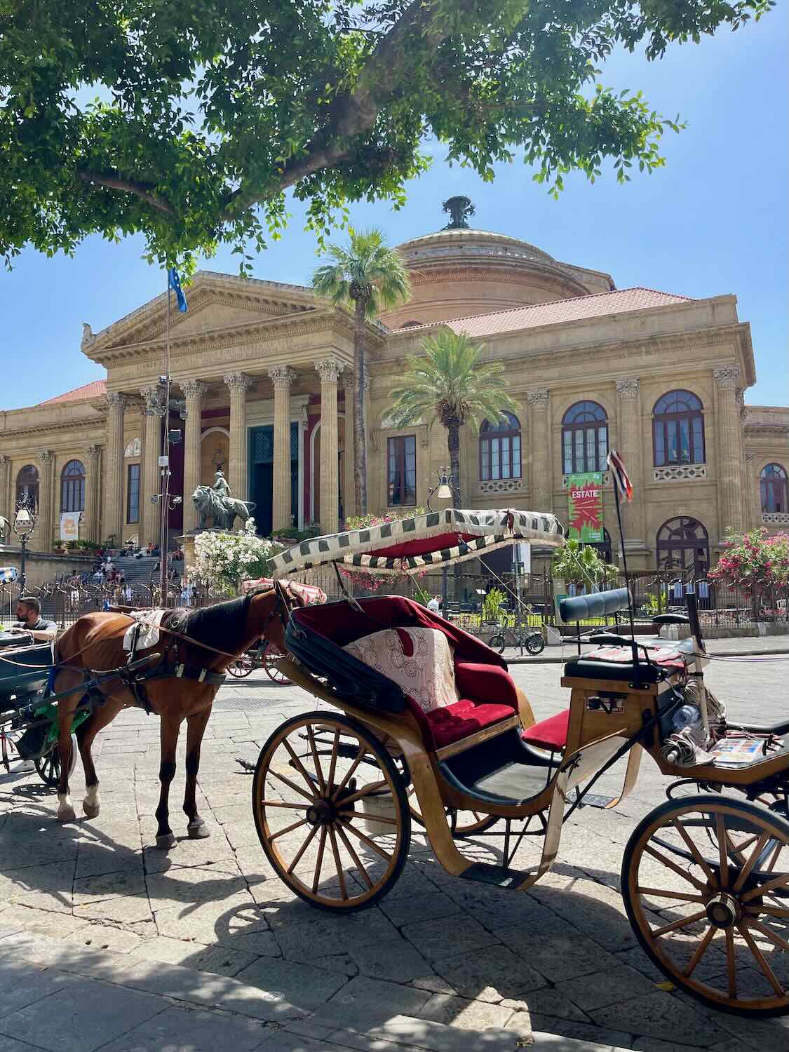 Horse and buggy in Palermo.