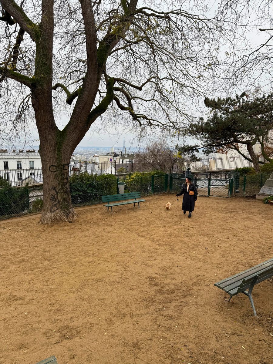 A woman and her dog enjoying a sandy dog park in Paris with a panoramic view of the cityscape and Eiffel Tower in the background.