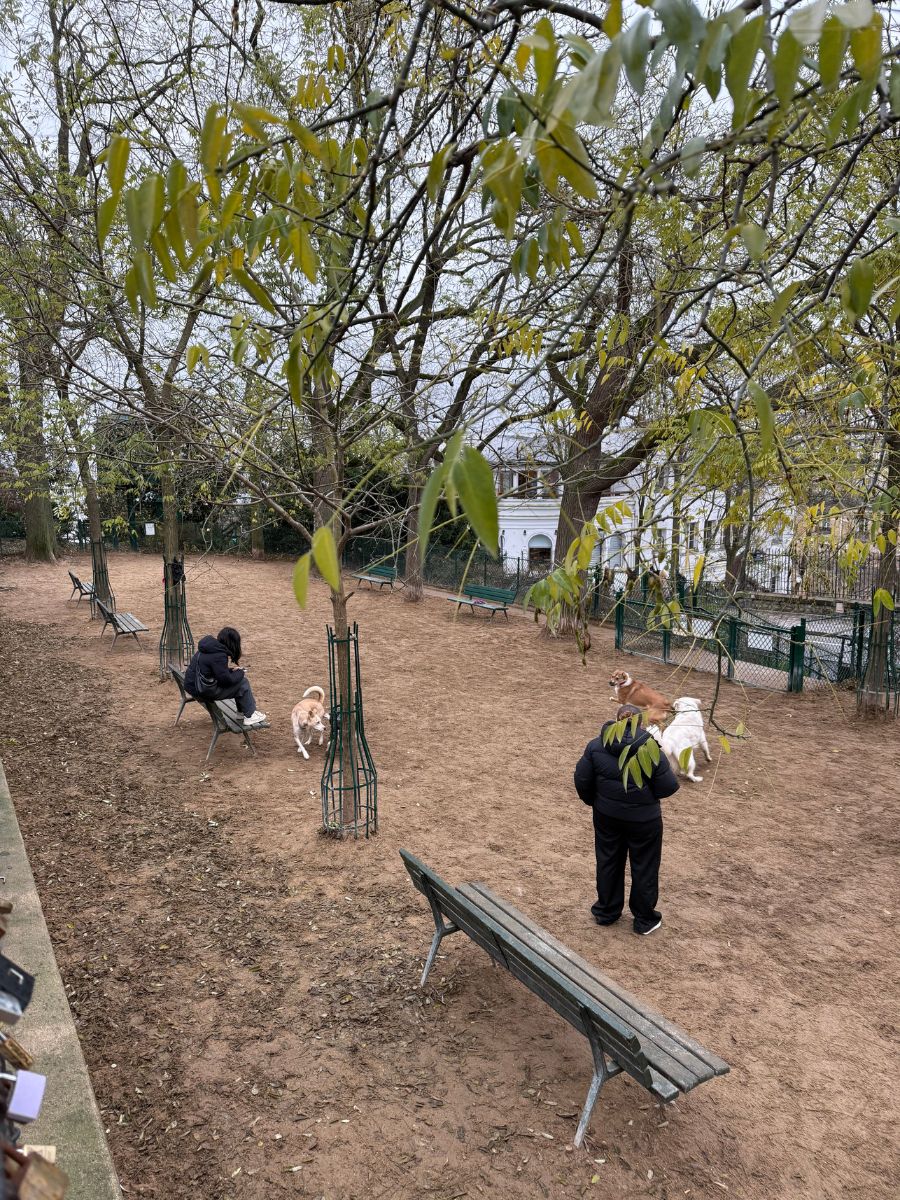 Several dogs and their owners interacting at a bustling dog park in Paris, showcasing an engaging community atmosphere.