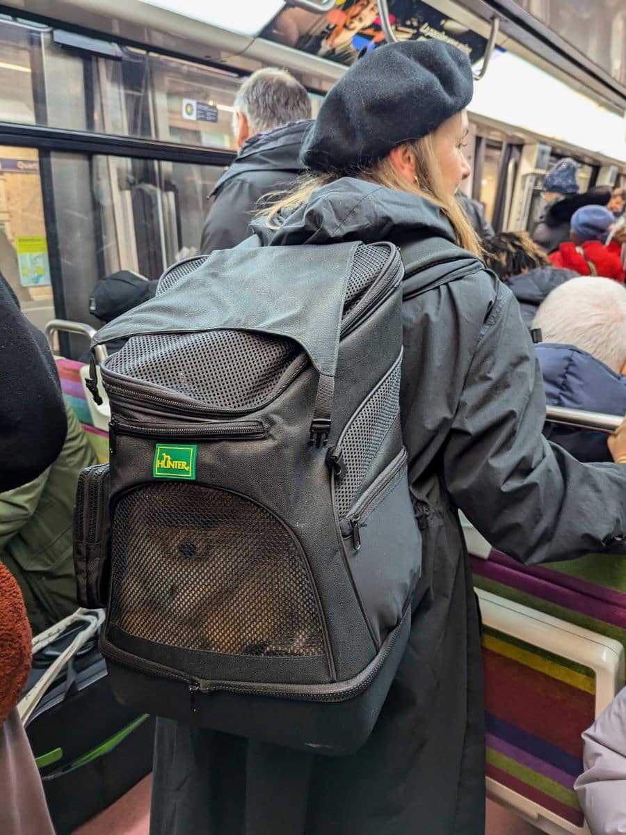 Melissa rides a Paris metro, carrying Teddy in a cozy backpack carrier, blending practicality and Parisian style.