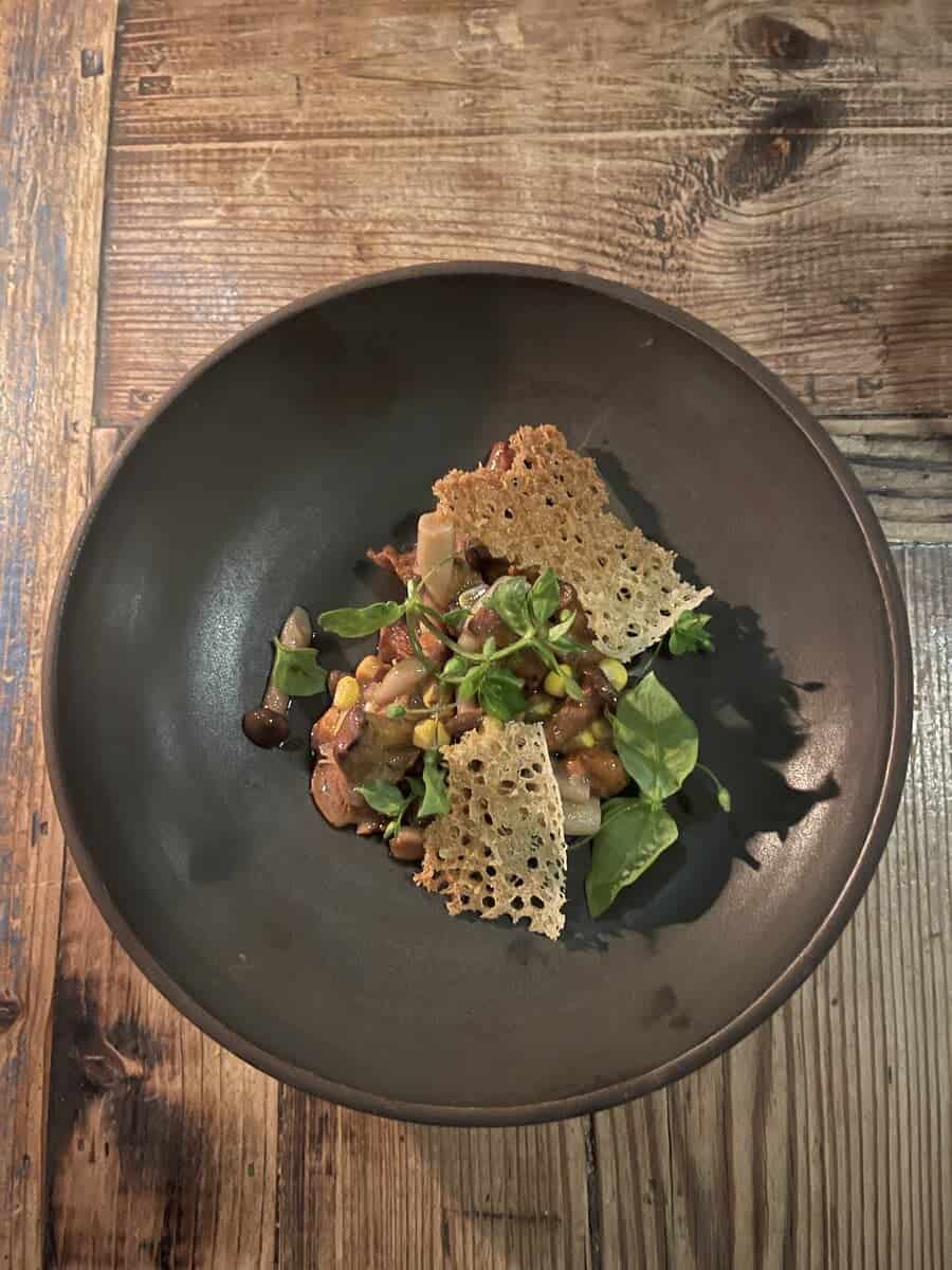 A creative dish from Host in Copenhagen featuring black and traditional taro chips topped with translucent jelly and microgreens, served in a round white bowl.