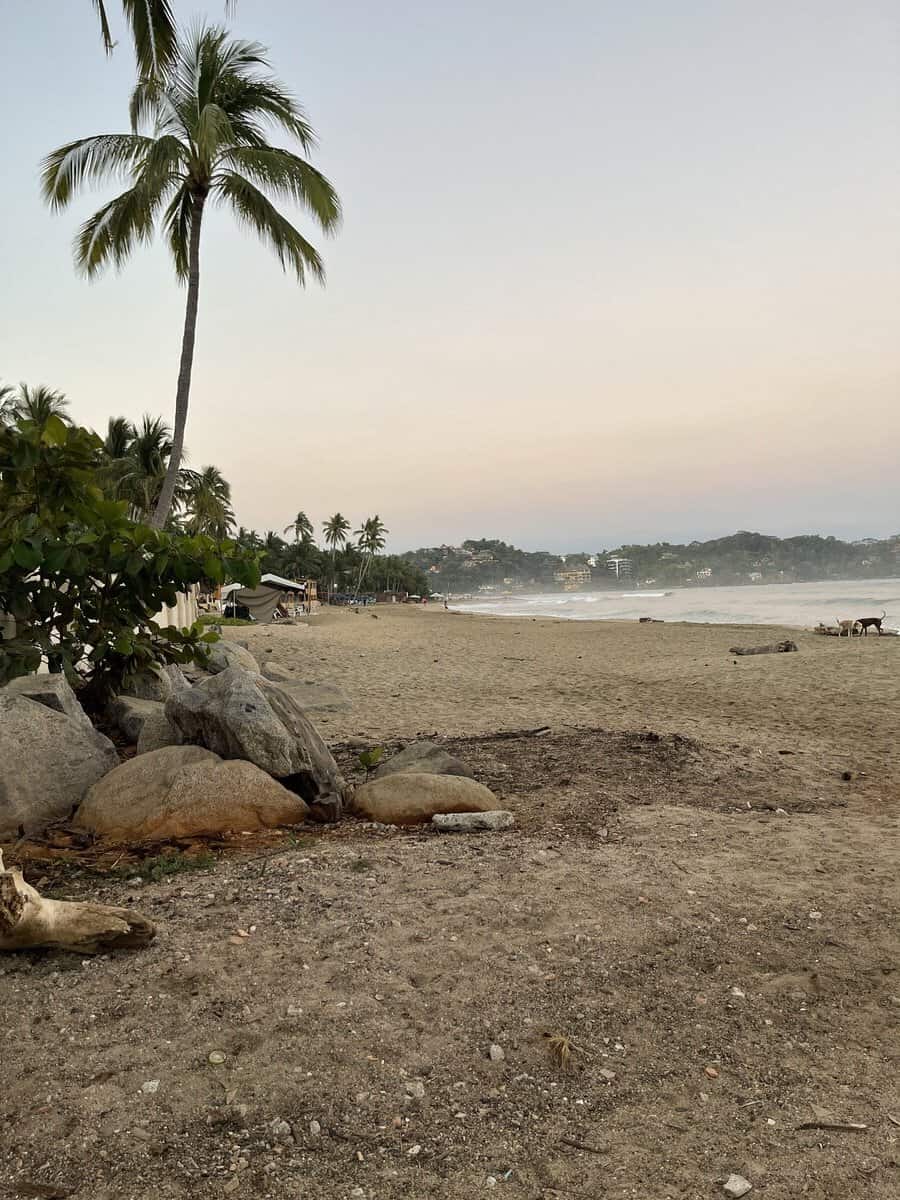 a beautiful beach in Sayulita at dusk