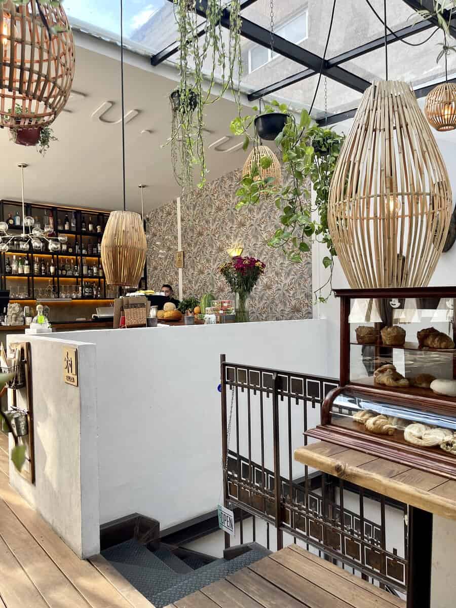 Rooftop Dining in Mexico City