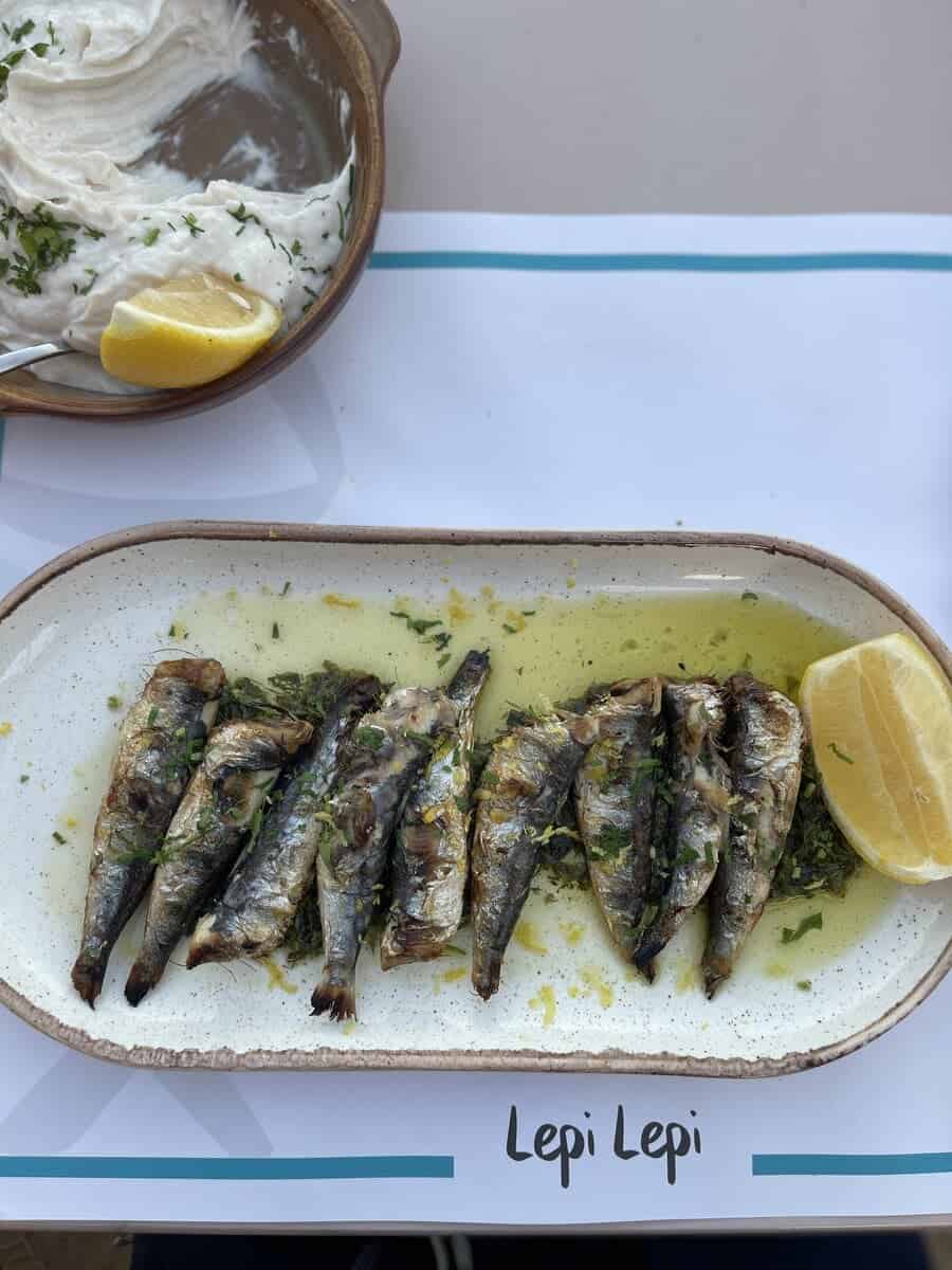 Close up of sardines