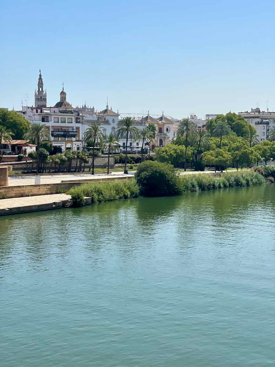A view of the Guadalquivir River in Seville, Spain, with lush greenery on the riverbank and a backdrop of historic buildings and palm trees. The Giralda tower and other prominent structures in the cityscape are visible under a clear blue sky.