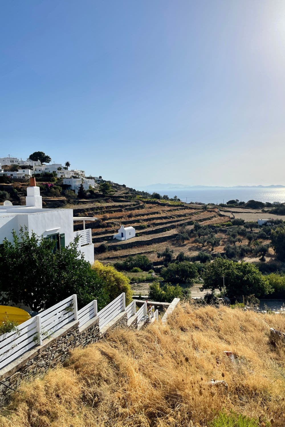 Morning light illuminates terraced fields and white houses on a hillside with a distant sea view in Sifnos.