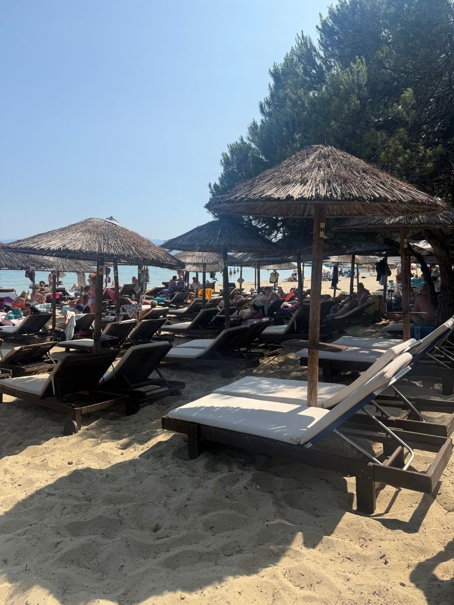 Crowded beach in Skiathos with rows of sunbeds and straw umbrellas on golden sand, shaded partially by trees and filled with sunbathers enjoying the sunny day.