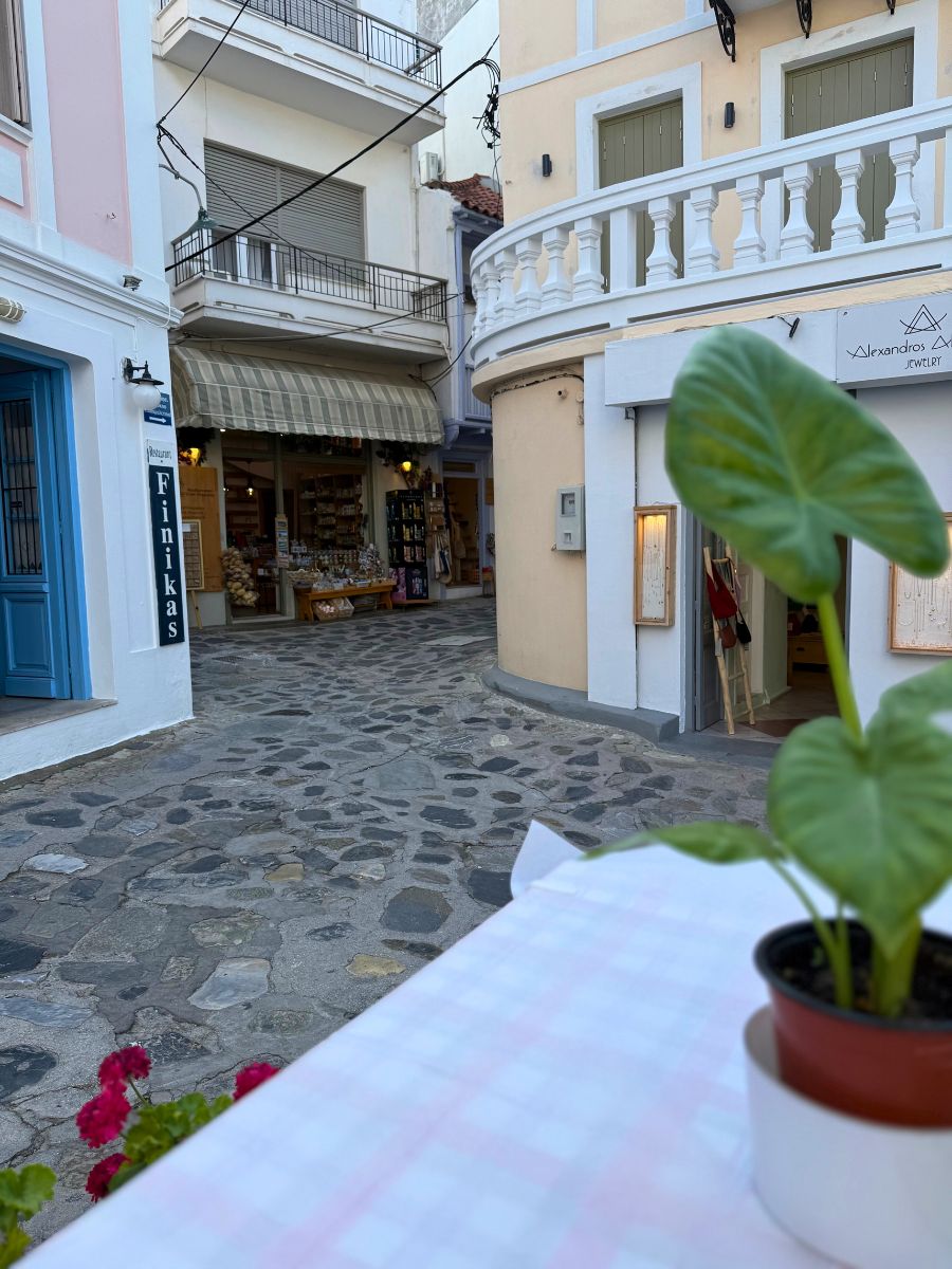 Cozy cobblestone street in Skopelos lined with pastel-colored buildings, small shops, and a potted plant in the foreground on a table.