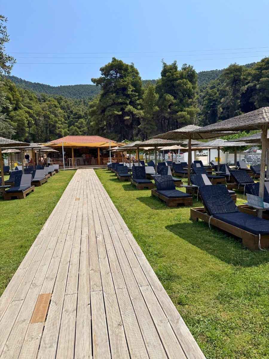A wooden boardwalk leads through a grassy beach area lined with black sunbeds and thatched umbrellas, toward a beach bar nestled among tall pine trees in Skopelos, Greece.