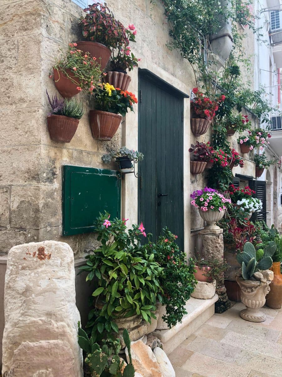 A rustic doorway in Monopoli, surrounded by lush greenery and colorful potted flowers arranged on the stone wall.