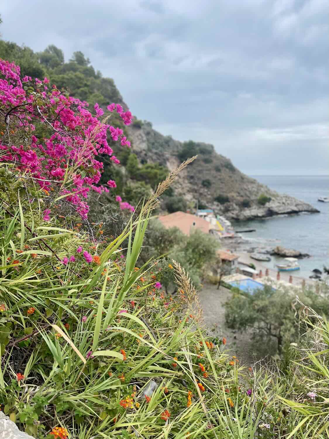 A scenic coastal view in Taormina, Sicily, featuring vibrant pink flowers in the foreground and a rocky shoreline leading to the sea in the background. The sky is overcast, adding a serene atmosphere to the scene.