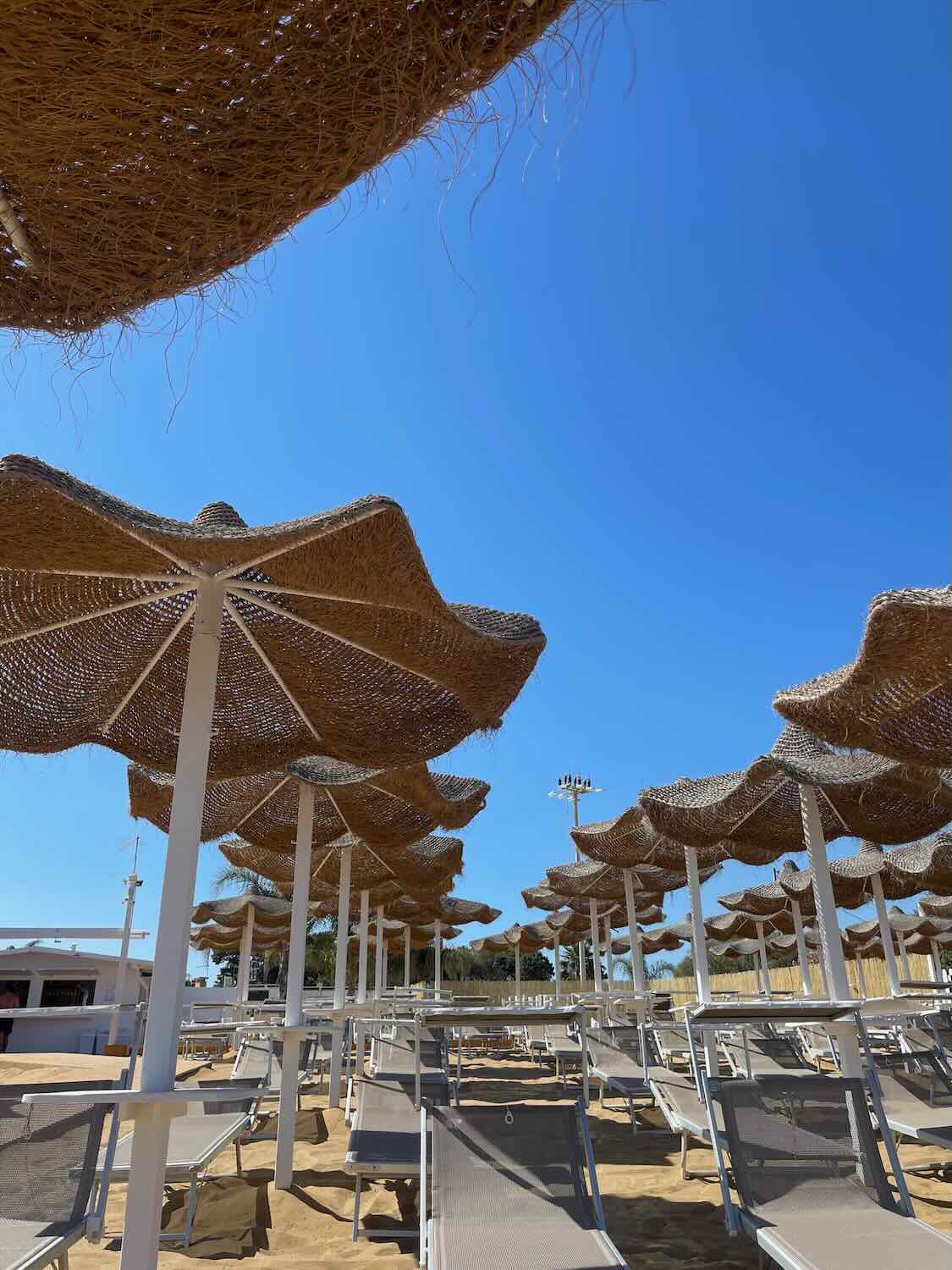 Rows of beach chairs and straw umbrellas on a sandy beach. The sky is bright blue with no clouds.