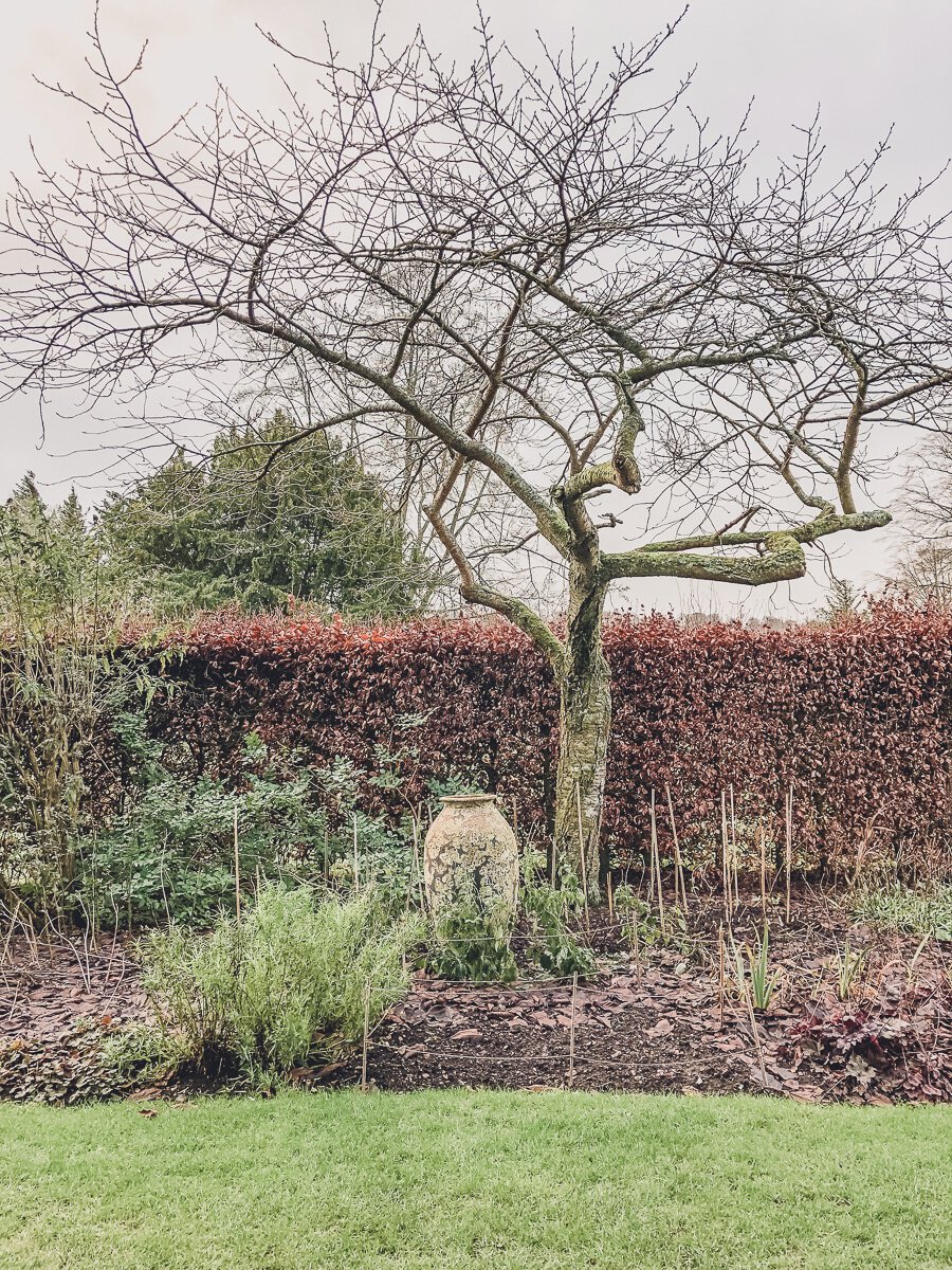 A View of the Gardens in winter at Highclere Castle from Downton Abbey
