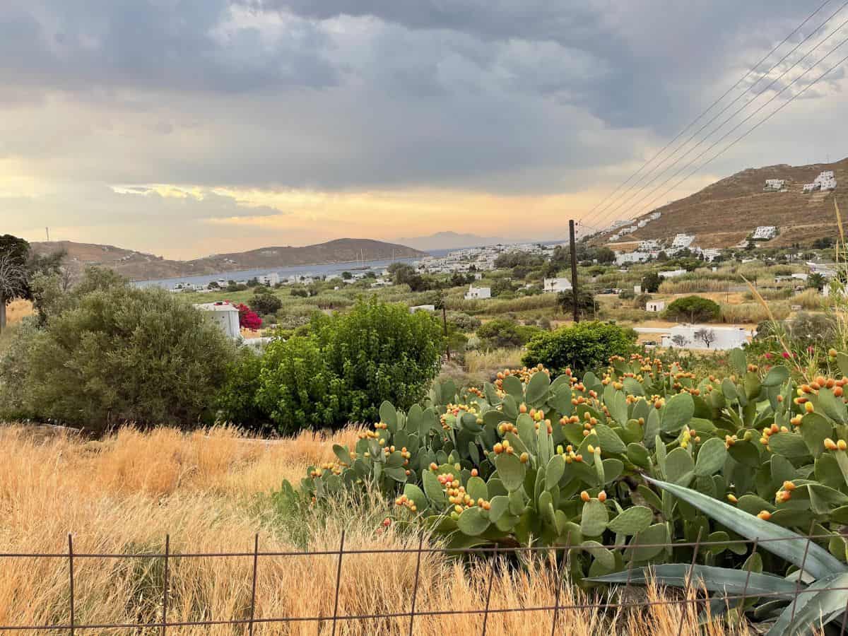 View of the island of Serifos. A much less expensive island than Mykonos. 