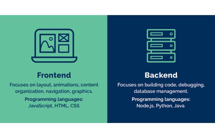 What Do Web and Front Developers Do