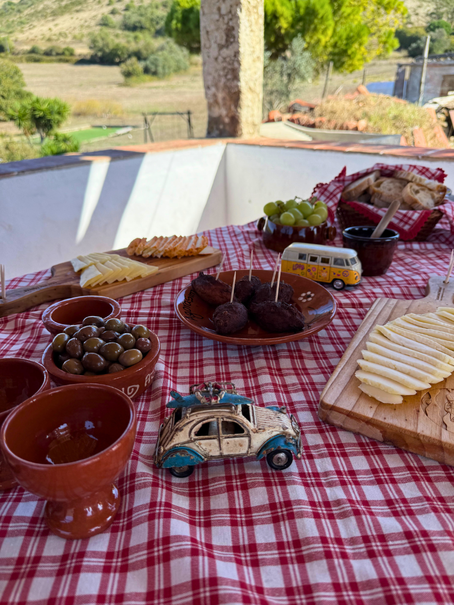 Overhead table spread featuring a red and white checkered cloth, cheese boards, olives, grapes, small clay wine cups, and miniature vintage car toys, set on a balcony in rural Portugal.