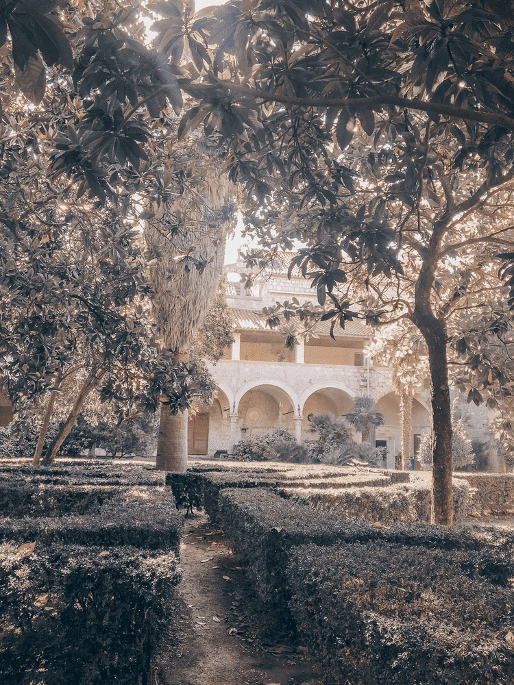 City of Qarth Game of Thrones