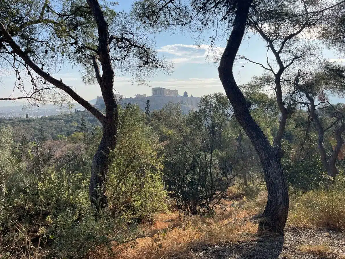 Incredible places for a picnic in Athens