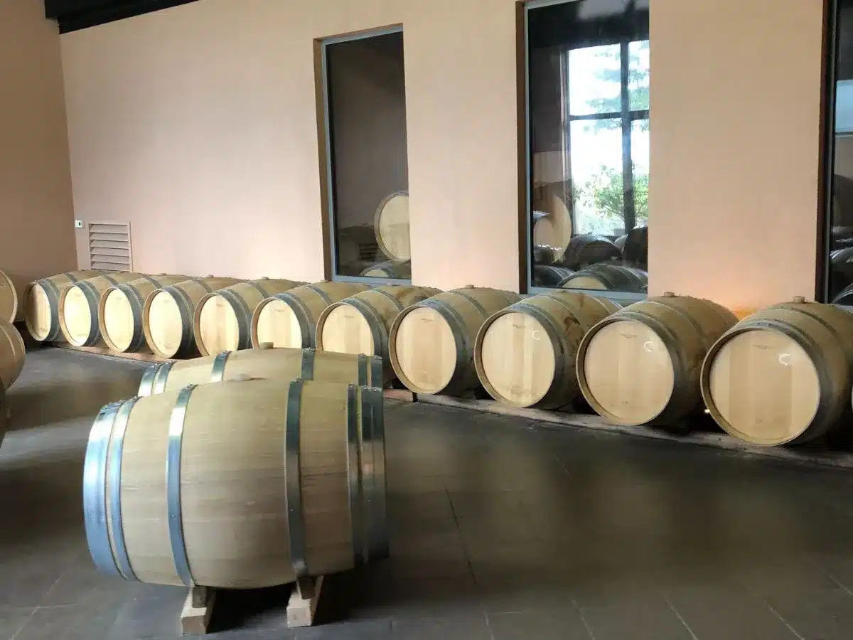 Wine Tour on a Day Trip From Bordeaux